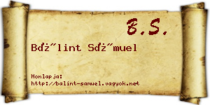 Bálint Sámuel névjegykártya